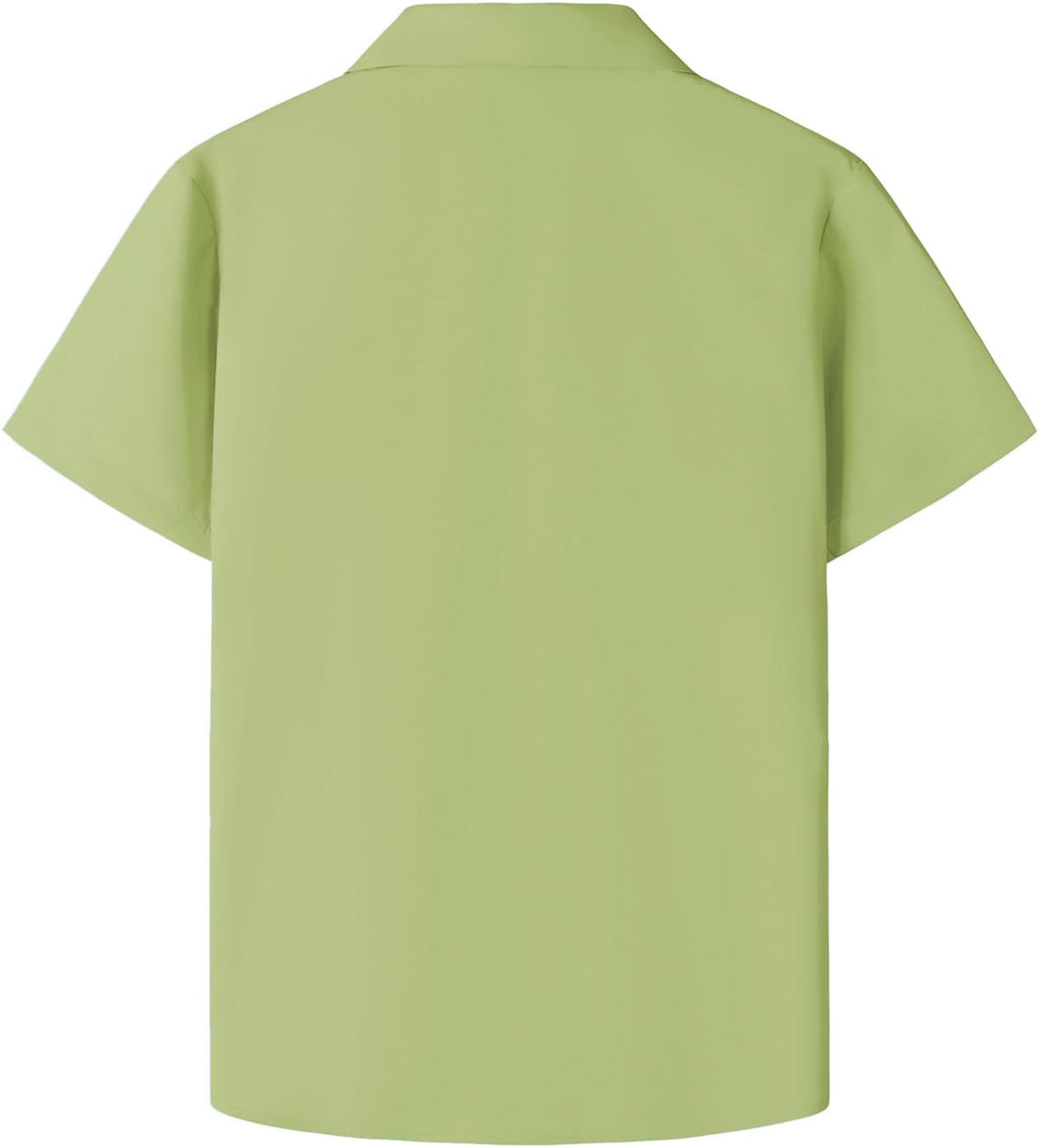 JOGAL C503 in PaleGreen, back view