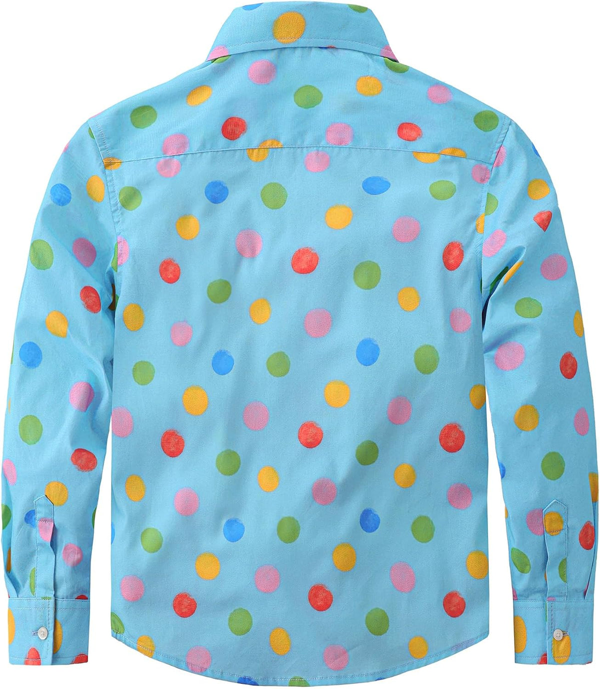 JOGAL C580 boys plaid long sleeve button-down shirt in Skyblue back view
